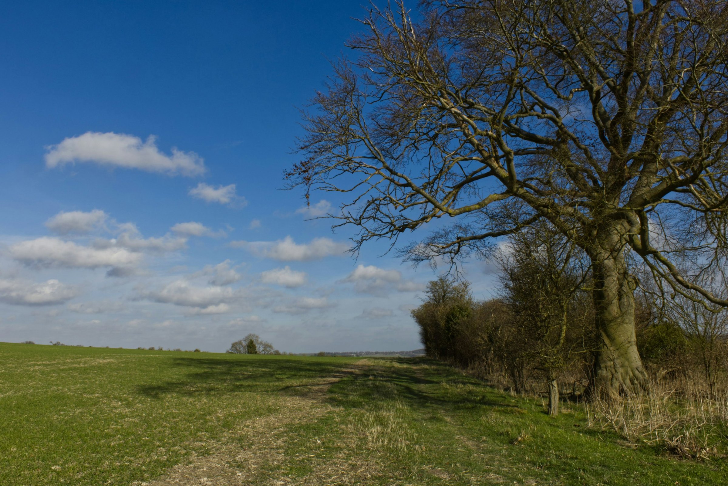 A path through the Chiltern Hills countryside outside High Wycombe